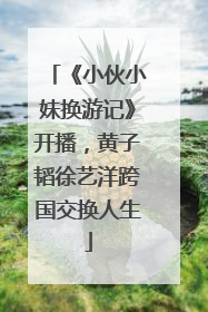 《小伙小妹换游记》开播，黄子韬徐艺洋跨国交换人生