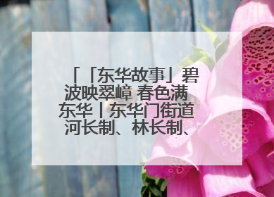 「东华故事」碧波映翠嶂 春色满东华丨东华门街道河长制、林长制、垃圾分类主题宣传如火如荼中