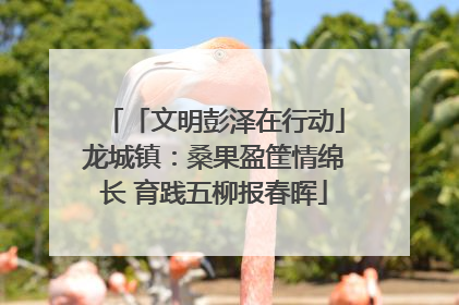 「文明彭泽在行动」龙城镇：桑果盈筐情绵长 育践五柳报春晖