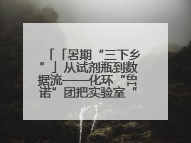 「暑期“三下乡”」从试剂瓶到数据流——化环“鲁诺”团把实验室“搬”回家乡，点亮桑梓求知路