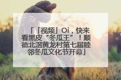 「视频」Oi，快来看黑皮“冬瓜王”！顺德北滘黄龙村第七届睦邻冬瓜文化节开幕