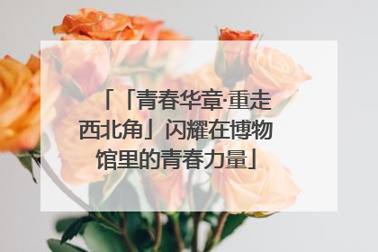 「青春华章·重走西北角」闪耀在博物馆里的青春力量