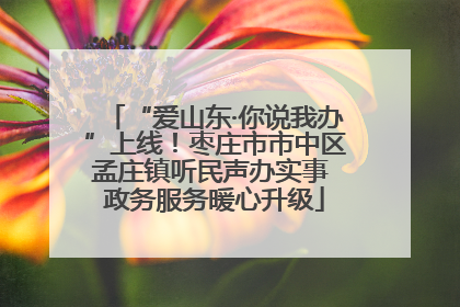 “爱山东·你说我办”上线！枣庄市市中区孟庄镇听民声办实事 政务服务暖心升级