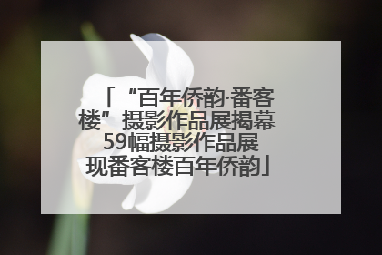 “百年侨韵·番客楼”摄影作品展揭幕 59幅摄影作品展现番客楼百年侨韵