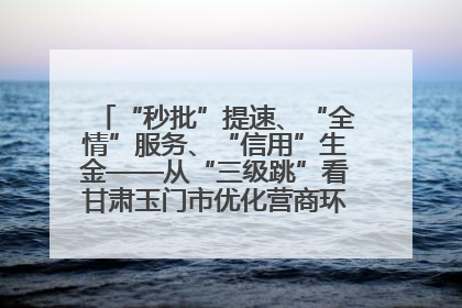 “秒批”提速、“全情”服务、“信用”生金——从“三级跳”看甘肃玉门市优化营商环境的进阶之路