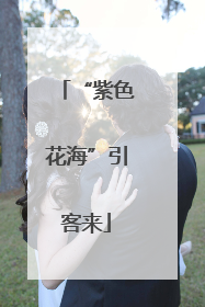 “紫色花海”引客来