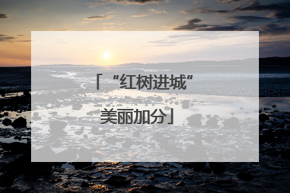 “红树进城” 美丽加分