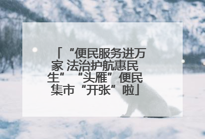 “便民服务进万家 法治护航惠民生”“头雁”便民集市“开张”啦