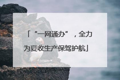 “一网通办”，全力为夏收生产保驾护航