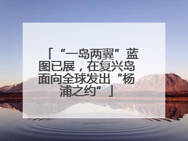 “一岛两翼”蓝图已展，在复兴岛面向全球发出“杨浦之约”