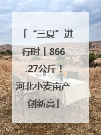 “三夏”进行时丨866.27公斤！河北小麦亩产创新高