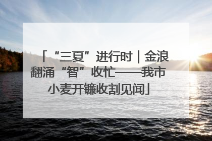 “三夏”进行时｜金浪翻涌“智”收忙——我市小麦开镰收割见闻
