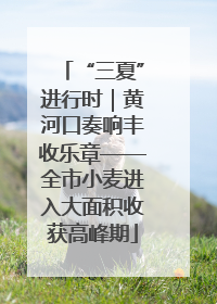 “三夏”进行时｜黄河口奏响丰收乐章——全市小麦进入大面积收获高峰期