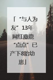 “与人为友”13年 网红麋鹿“点点”已产下8胎幼崽