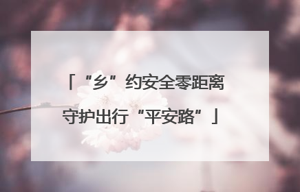 “乡”约安全零距离 守护出行“平安路”
