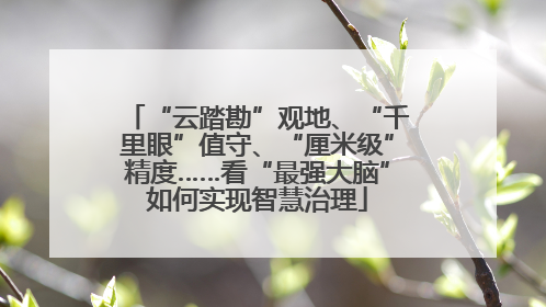 “云踏勘”观地、“千里眼”值守、“厘米级”精度……看“最强大脑”如何实现智慧治理
