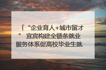“企业育人+城市留才” 宜宾构建全链条就业服务体系促高校毕业生就业｜您牵挂的四川