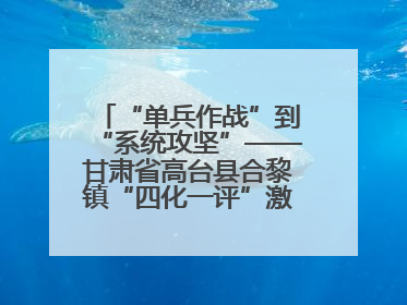 “单兵作战”到“系统攻坚”——甘肃省高台县合黎镇“四化一评”激活农村党员管理新引擎