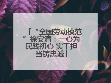“全国劳动模范”徐安清：一心为民践初心 实干担当铸忠诚