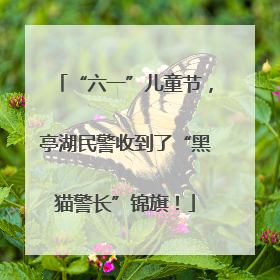 “六一”儿童节，亭湖民警收到了“黑猫警长”锦旗！