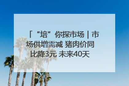 “培”你探市场｜市场供增需减 猪肉价同比降3元 未来40天便宜猪肉敞开吃