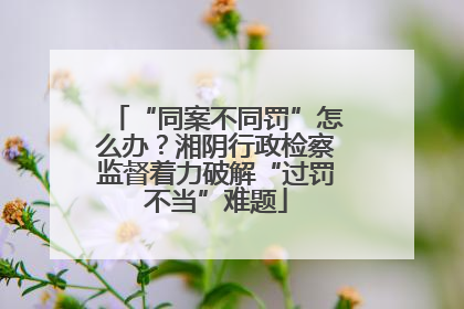 “同案不同罚”怎么办？湘阴行政检察监督着力破解“过罚不当”难题