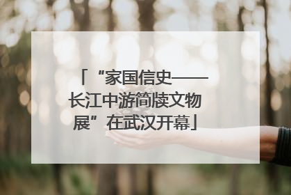 “家国信史——长江中游简牍文物展”在武汉开幕