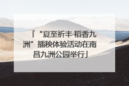 “夏至祈丰·稻香九洲”插秧体验活动在南昌九洲公园举行