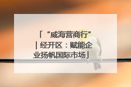 “威海营商行”｜经开区：赋能企业扬帆国际市场