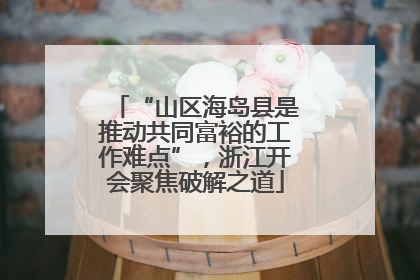 “山区海岛县是推动共同富裕的工作难点”，浙江开会聚焦破解之道
