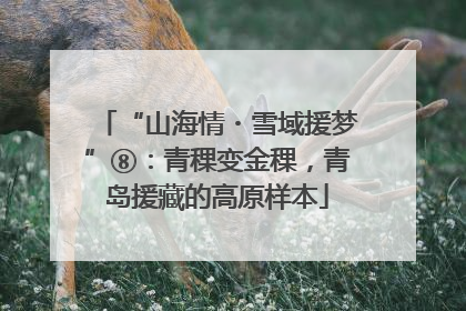 “山海情・雪域援梦”⑧：青稞变金稞，青岛援藏的高原样本