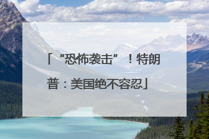 “恐怖袭击”！特朗普：美国绝不容忍