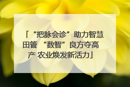 “把脉会诊”助力智慧田管 “数智”良方夺高产 农业焕发新活力