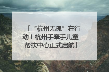 “杭州无孤”在行动！杭州手牵手儿童帮扶中心正式启航