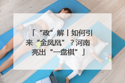“政”解丨如何引来“金凤凰”？河南亮出“一盘棋”