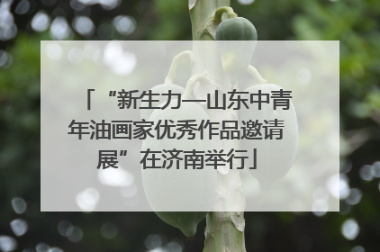 “新生力—山东中青年油画家优秀作品邀请展”在济南举行
