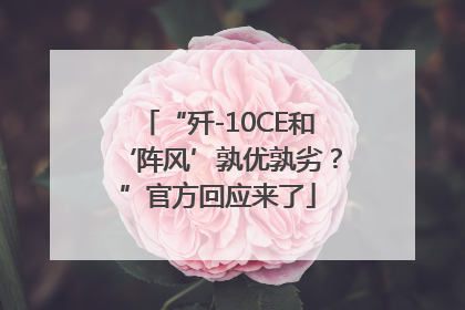 “歼-10CE和‘阵风’孰优孰劣？”官方回应来了