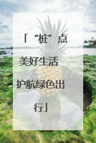 “桩”点美好生活 护航绿色出行