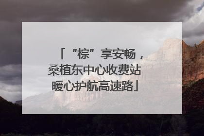 “棕”享安畅，桑植东中心收费站暖心护航高速路
