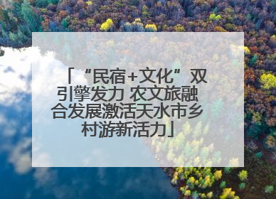 “民宿+文化”双引擎发力 农文旅融合发展激活天水市乡村游新活力