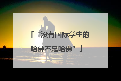 “没有国际学生的哈佛不是哈佛”
