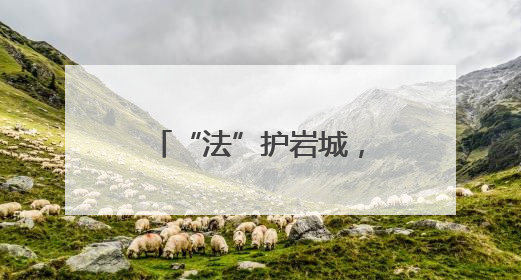 “法”护岩城，亮“典”纷呈——福建省龙岩市司法局民法典宣传月普法活动纪实