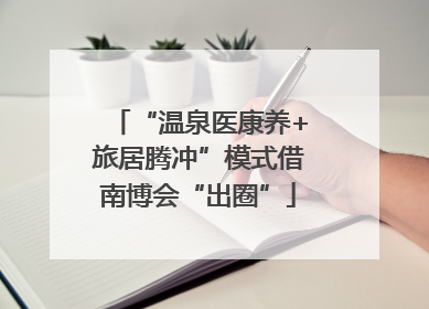 “温泉医康养+旅居腾冲”模式借南博会“出圈”
