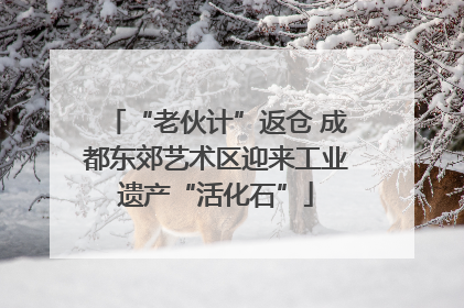 “老伙计”返仓 成都东郊艺术区迎来工业遗产“活化石”