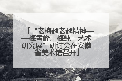 “老梅越老越精神——梅雪峰、梅纯一艺术研究展”研讨会在安徽省美术馆召开