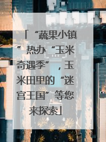 “蔬果小镇”热办“玉米奇遇季”，玉米田里的“迷宫王国”等您来探索