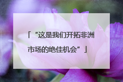 “这是我们开拓非洲市场的绝佳机会”