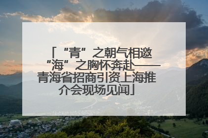 “青”之朝气相邀 “海”之胸怀奔赴——青海省招商引资上海推介会现场见闻