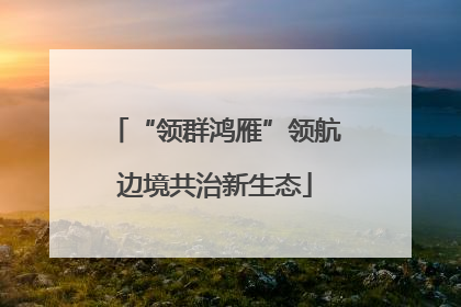 “领群鸿雁”领航边境共治新生态
