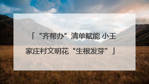 “齐帮办”清单赋能 小王家庄村文明花“生根发芽”